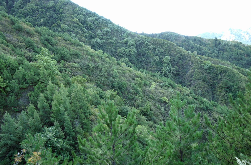 南天門自然植物園（2018年9月）の写真
